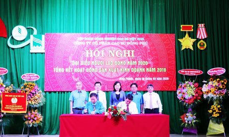 Cao su Đồng Phú chia cổ tức 50%